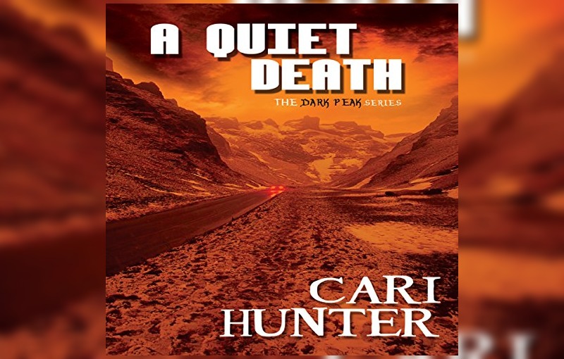 Cari Hunter books