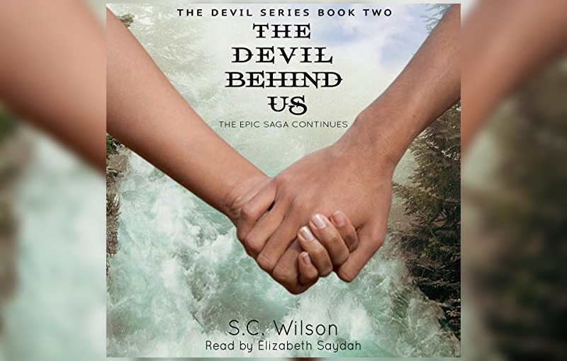 wlw historical fiction book