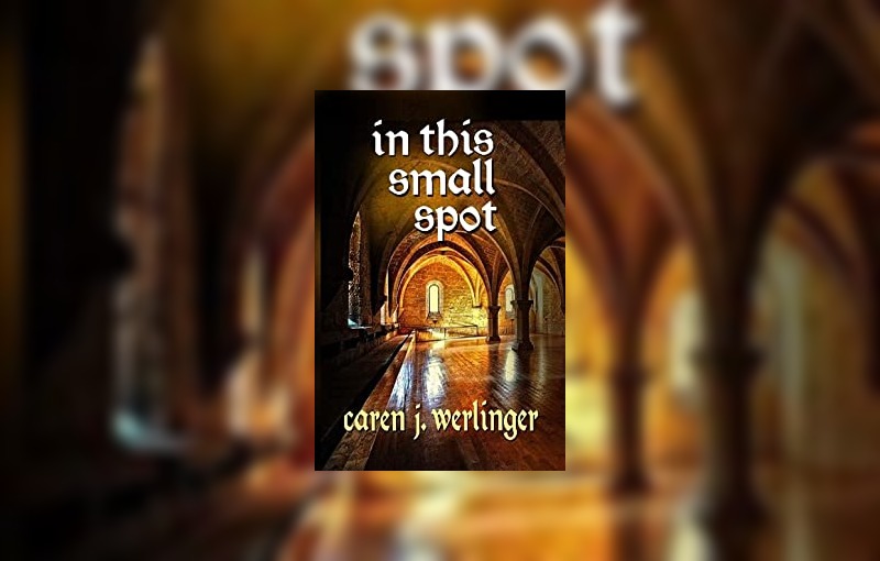 In This Small Spot by Caren J. Werlinger