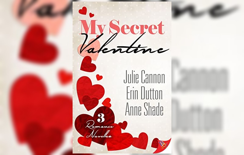 My Secret Valentine by Julie Cannon