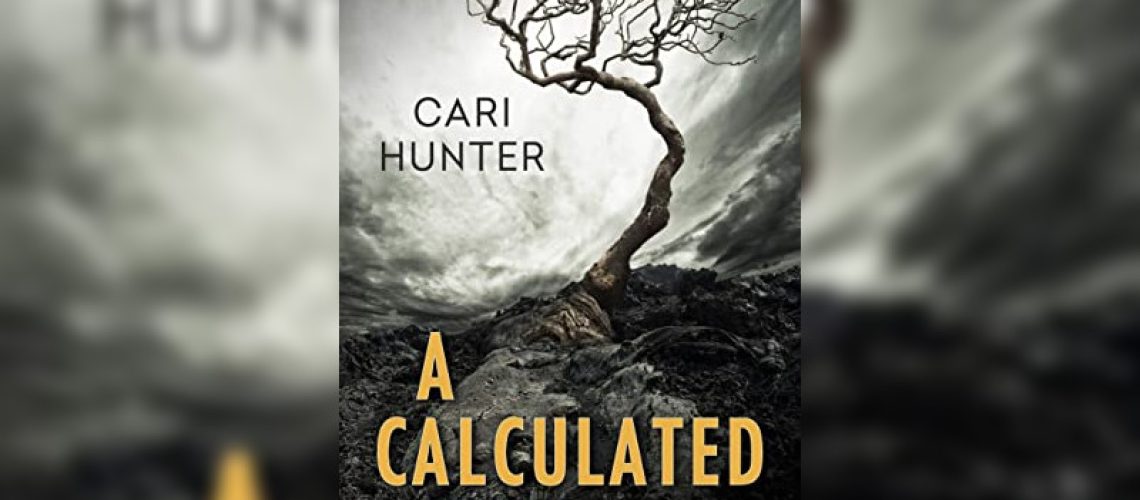 A Calculated Risk by Cari Hunter