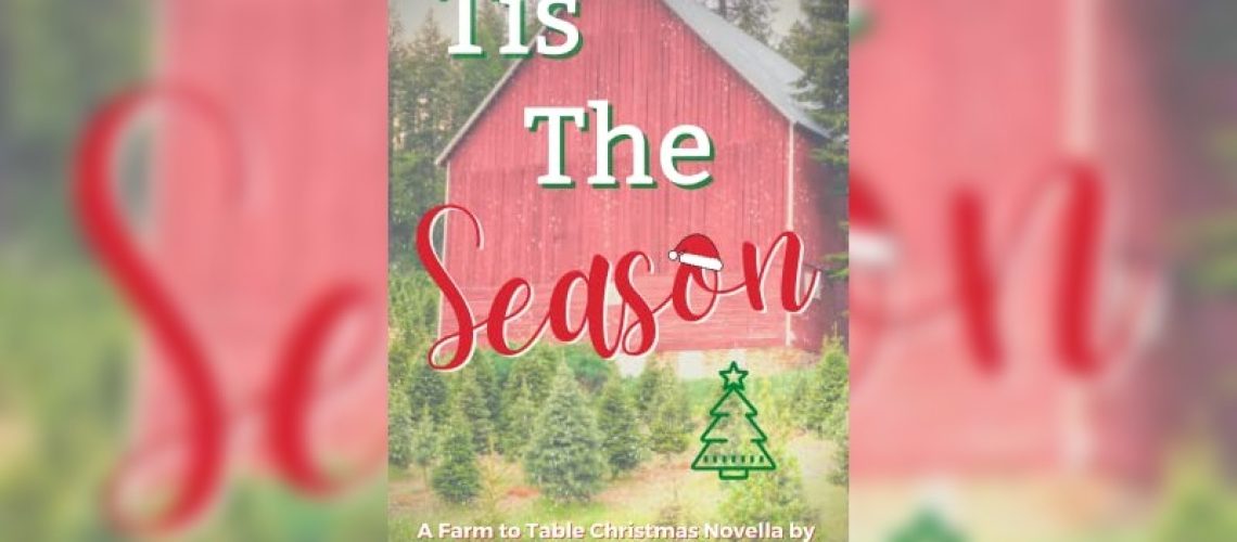 Christmas wlw romance novella