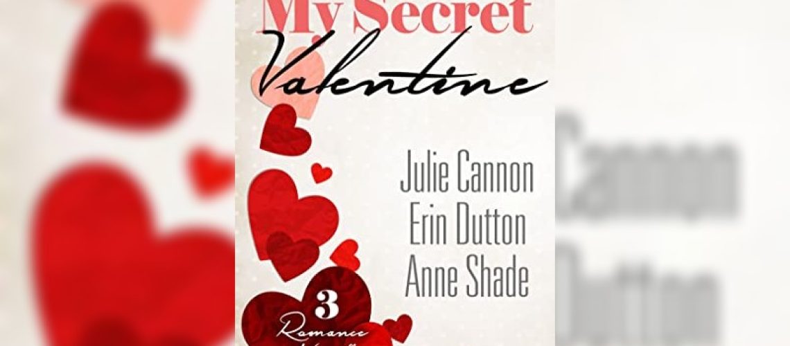 My Secret Valentine by Julie Cannon